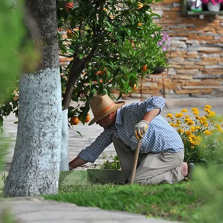 Lodge Grenadine Dalyan