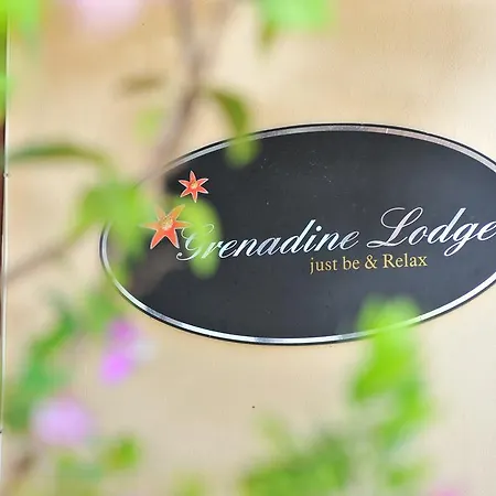 Grenadine Lodge *